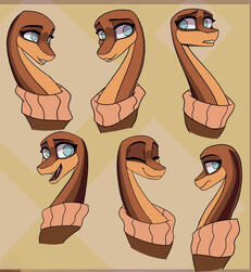 Set of 6 + patterned BG